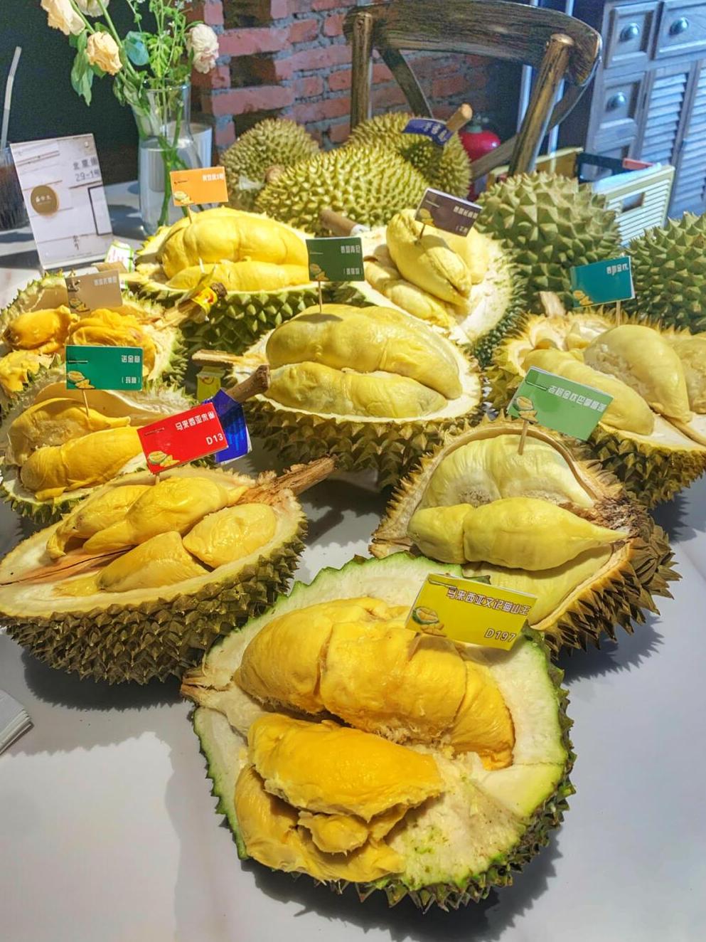 开云在线直播-马来西亚队力克泰国队，黄鸭组合状态火热