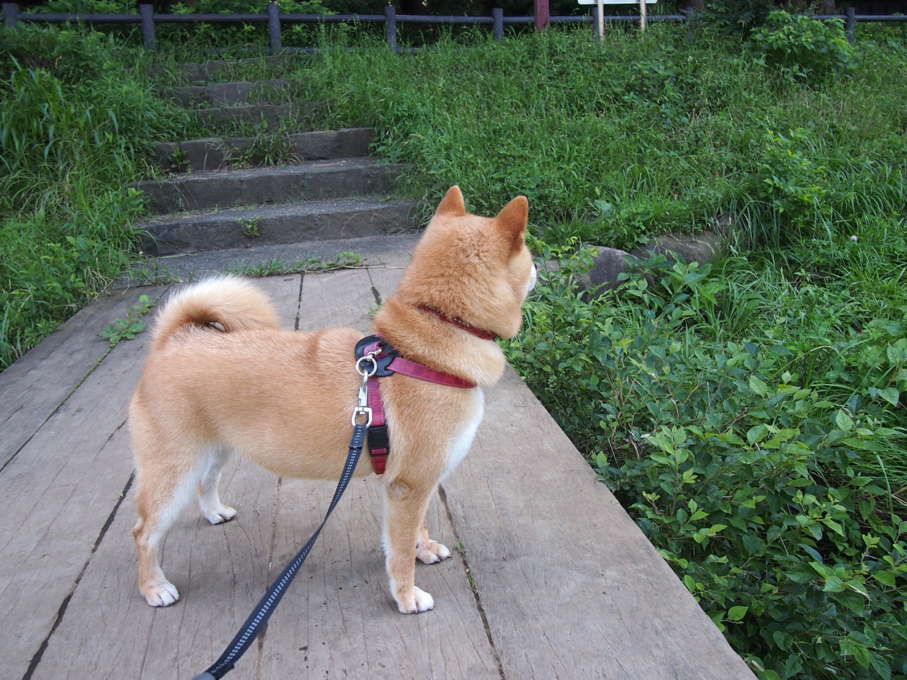 开云体育直播-欧冠半决赛之夜，克莱打出统治级数据，篮球与足球的时空交响